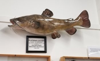 Minnesota Fishing Museum and Hall of Fame