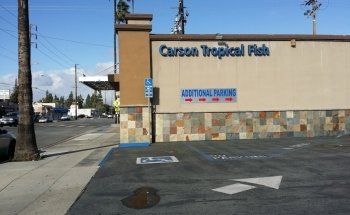 Carson Tropical Fish