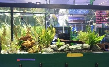 EPIC Corals