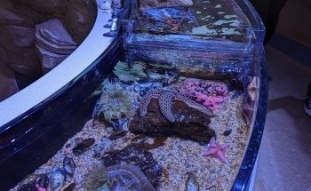 Cabrillo High School Aquarium