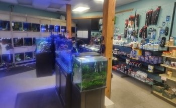 Comanche Creek Aquatics & More