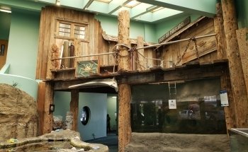 SEA Discovery Center