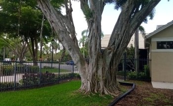 Lakes At Boca Raton Clubhouse