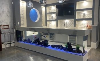 Big Fish Custom Acrylic Aquariums