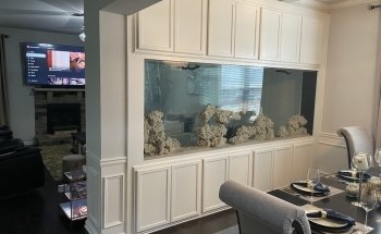 Big Fish Custom Acrylic Aquariums