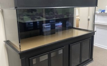 Big Fish Custom Acrylic Aquariums
