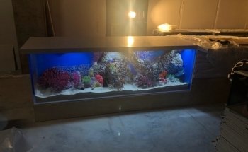 Big Fish Custom Acrylic Aquariums