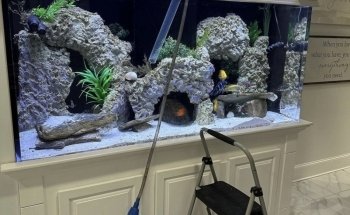Big Fish Custom Acrylic Aquariums