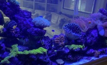 Marine Concepts Inc.