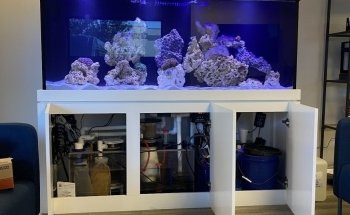 Marine Concepts Inc.