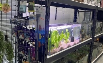 Marine Concepts Inc.