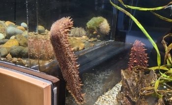 Breazeale Interpretive Center and Aquarium