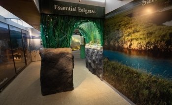 Breazeale Interpretive Center and Aquarium