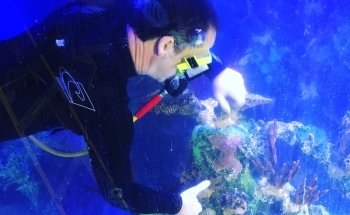 Aquarium Doctor Inc. | Aquarium Service, Aquarium Installation, Custom Aquariums