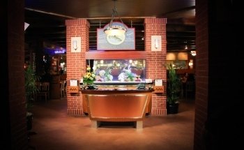 Aquarium Doctor Inc. | Aquarium Service, Aquarium Installation, Custom Aquariums