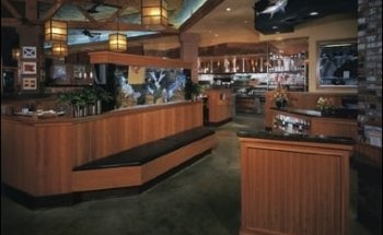 Aquarium Doctor Inc. | Aquarium Service, Aquarium Installation, Custom Aquariums