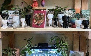 Bermuda Aquatics Exotic Fish & Ponds