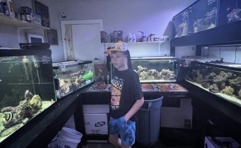Bermuda Aquatics Exotic Fish & Ponds