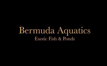 Bermuda Aquatics Exotic Fish & Ponds