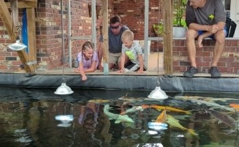 Fish Story Aquarium Attraction & Fish Rescue (ONLY by APPOINTMENT; see website for details)