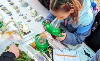 Puget Sound Estuarium