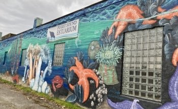 Puget Sound Estuarium