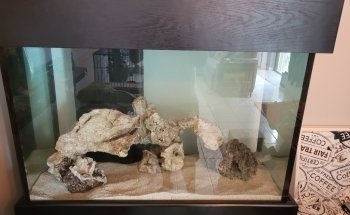 Paragon Blues Aquariums