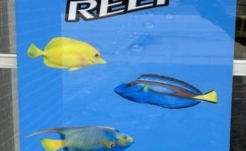 650 Oceans Reef Inc
