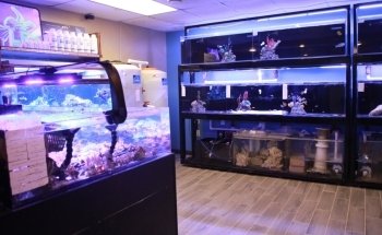 Sioux Falls Aquatics