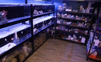 Sioux Falls Aquatics