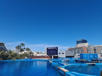 Oceanogràfic València