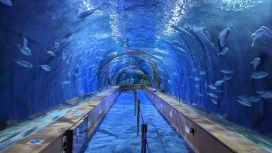 Oceanogràfic València