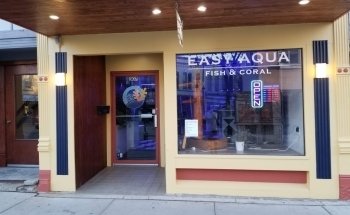 Fácil Acuario de Peces y Corales