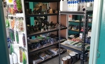 Badgerland Saltwater