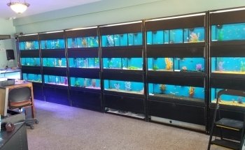 Badgerland Saltwater