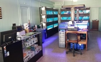 Badgerland Saltwater