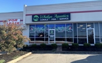 Acuáticos de la Ciudad de Derby