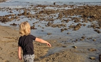 Tide Pool and Aquarium