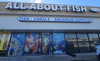 All About Fish