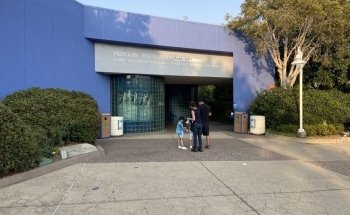 Penguin Encounter