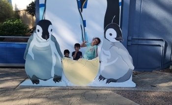 Penguin Encounter