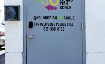 Island Fish and Scale