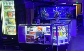 Island Fish and Scale