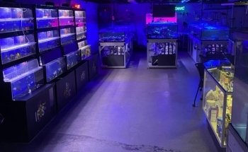 Island Fish and Scale