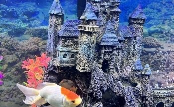 Green Lake Tropical Fish Farm