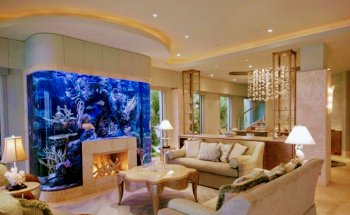 Aquarium Headquarters Maintenance, Service & Luxury Aquarium Installation Co.