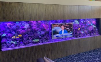 Aquarium Headquarters Maintenance, Service & Luxury Aquarium Installation Co.