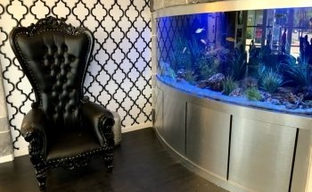 Aquarium Headquarters Maintenance, Service & Luxury Aquarium Installation Co.