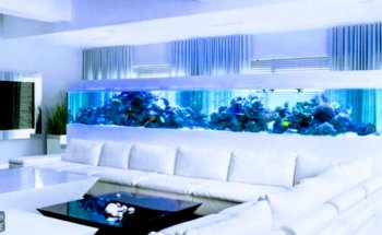 Aquarium Headquarters Maintenance, Service & Luxury Aquarium Installation Co.