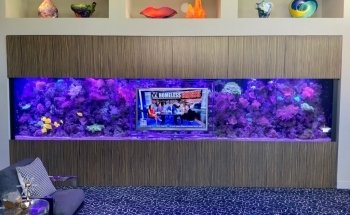 Aquarium Headquarters Maintenance, Service & Luxury Aquarium Installation Co.